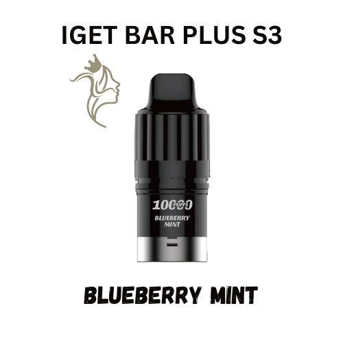 Blueberry Mint – IGET BAR Plus S3 – Pod Only