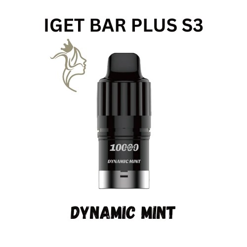 Dynamic Mint – IGET BAR Plus S3 – Pod Only