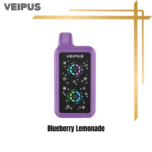 Blueberry Lemonade – BUSSIN